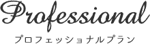 プロフェッショナルプラン